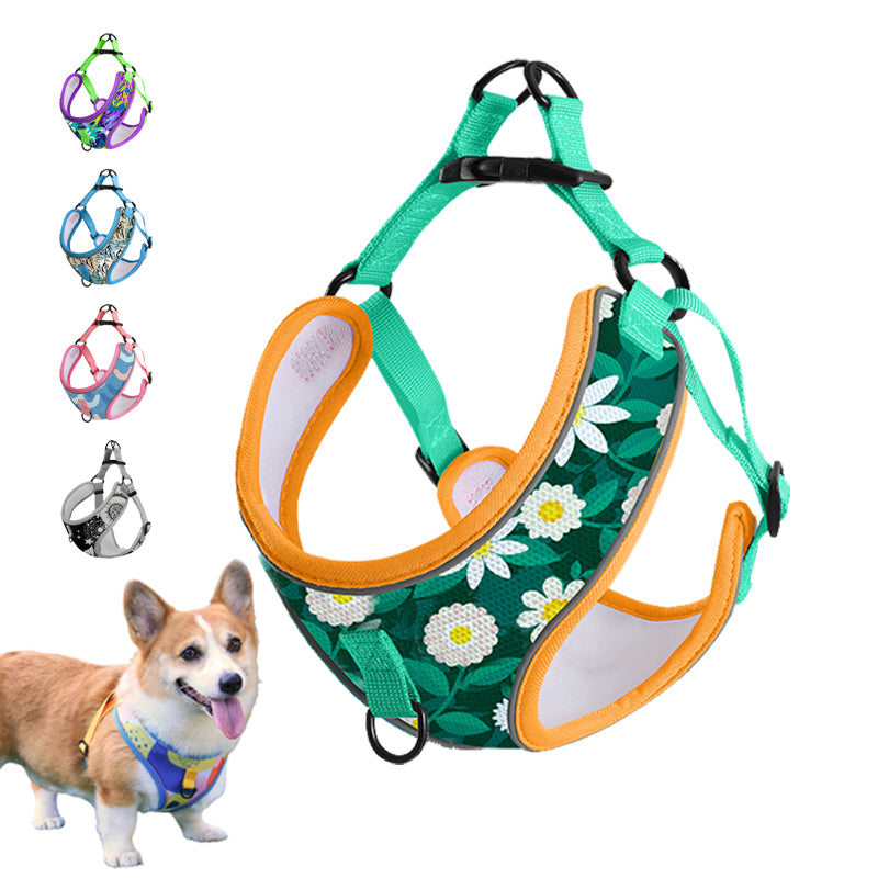 Dog Harness and Leash Set for Pet