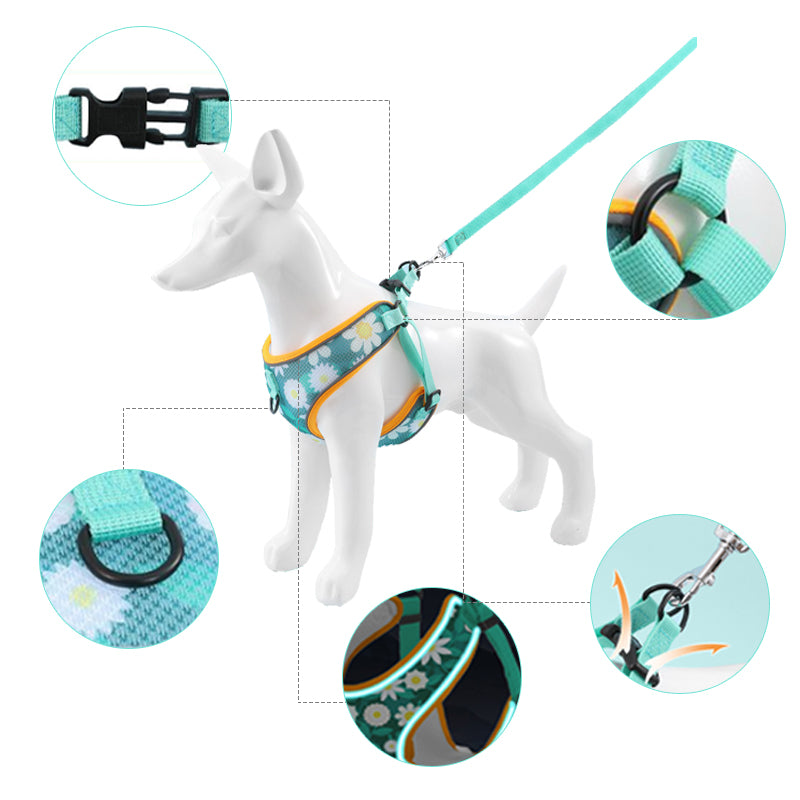 Dog Harness and Leash Set for Pet