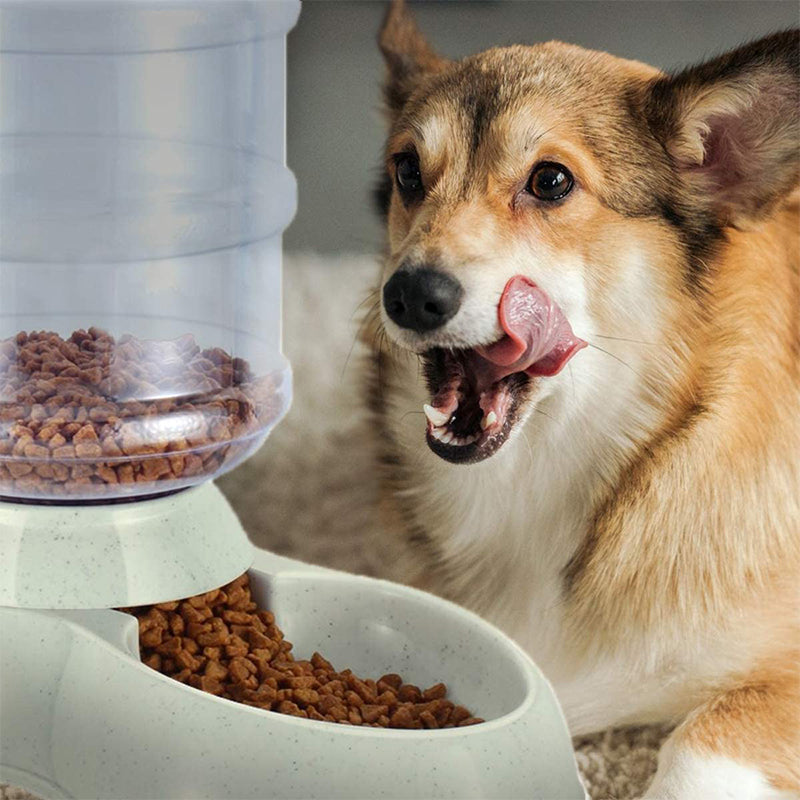 Automatic Dog Feeder Food Dispenser for Pets