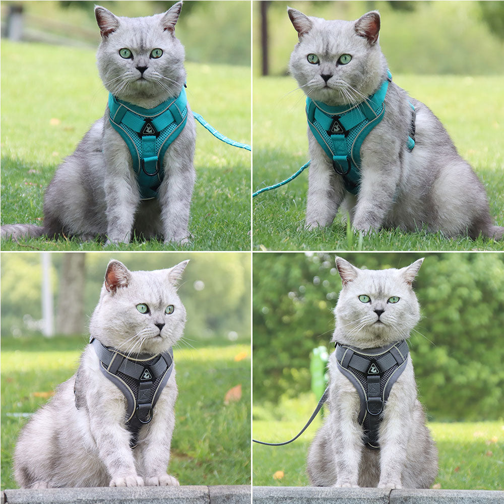 Cat Harness and Leash Set for Pets