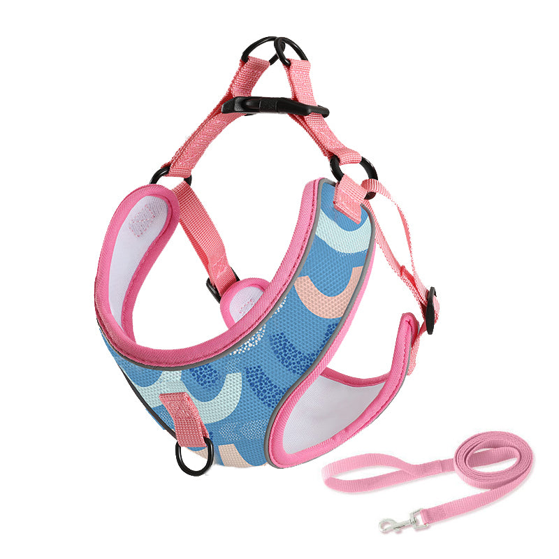 Dog Harness and Leash Set for Pet