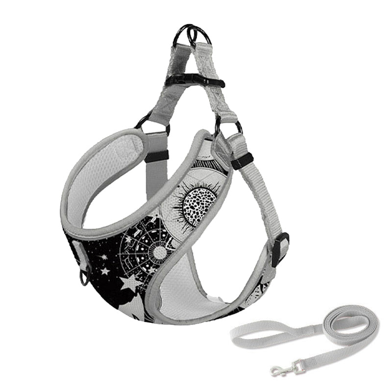 Dog Harness and Leash Set for Pet