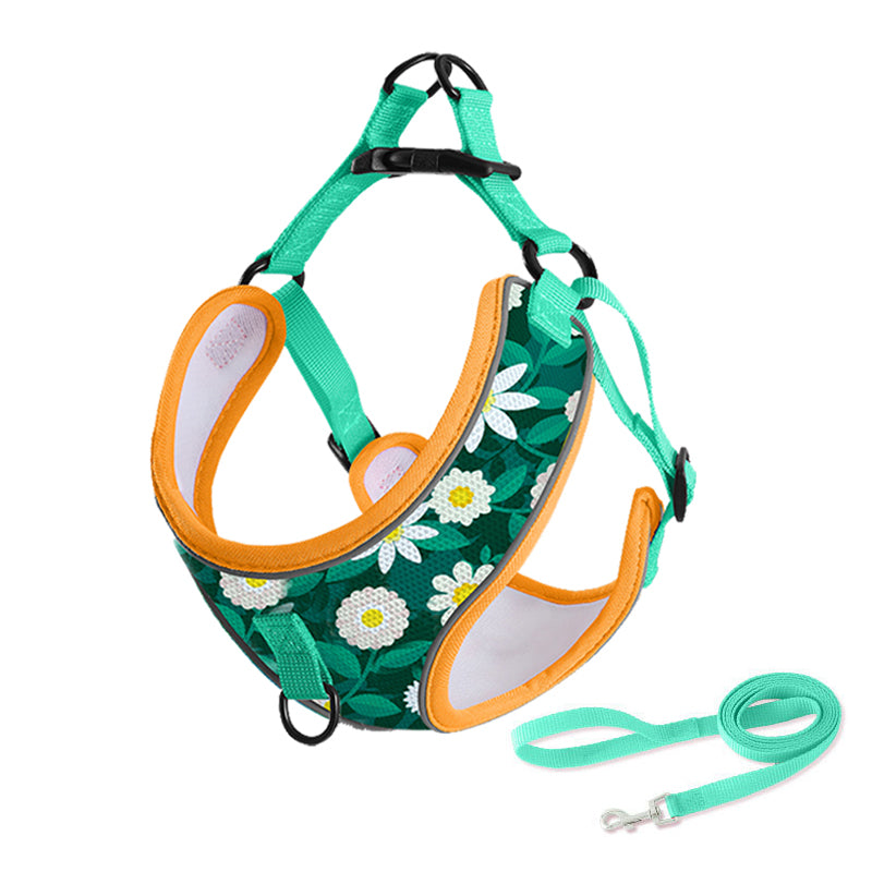 Dog Harness and Leash Set for Pet