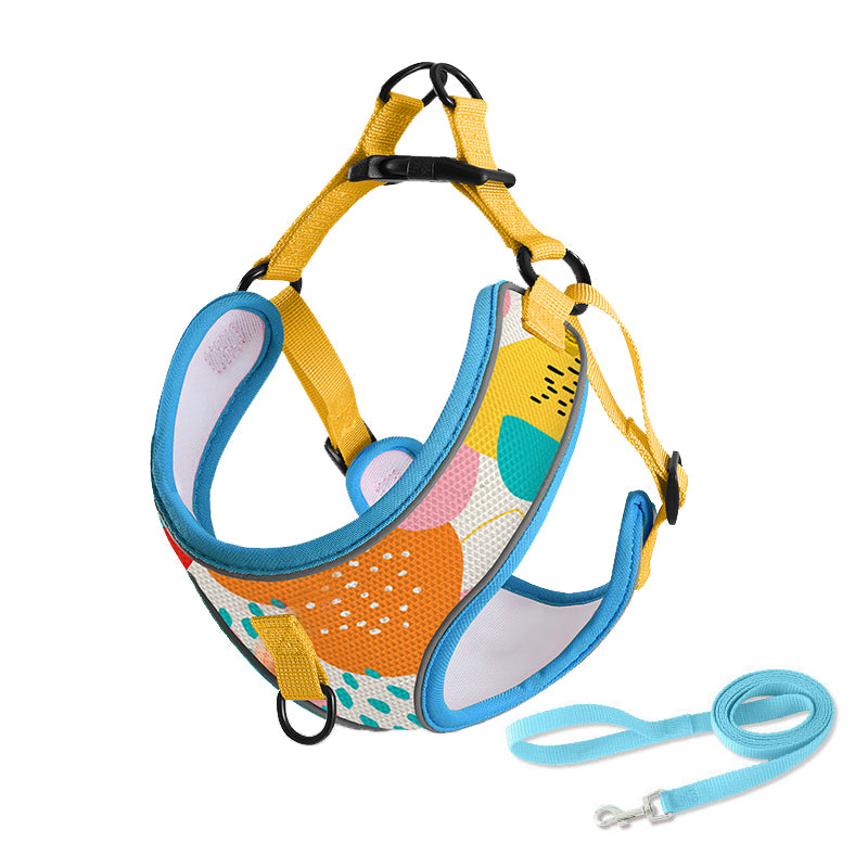 Dog Harness and Leash Set for Pet